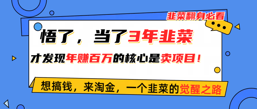 图片[1]-（10759期）悟了，当了3年韭菜，才发现网赚圈年赚100万的核心是卖项目，含泪分享！-红宝盒创业网创平台