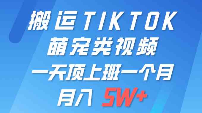 图片[1]-（9931期）一键搬运TIKTOK萌宠类视频 一部手机即可操作 所有平台均可发布 轻松月入5W+-红宝盒创业网创平台