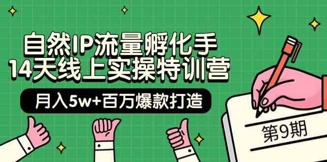 图片[1]-（9881期）自然IP流量孵化手 14天线上实操特训营【第9期】月入5w+百万爆款打造 (74节)-红宝盒创业网创平台