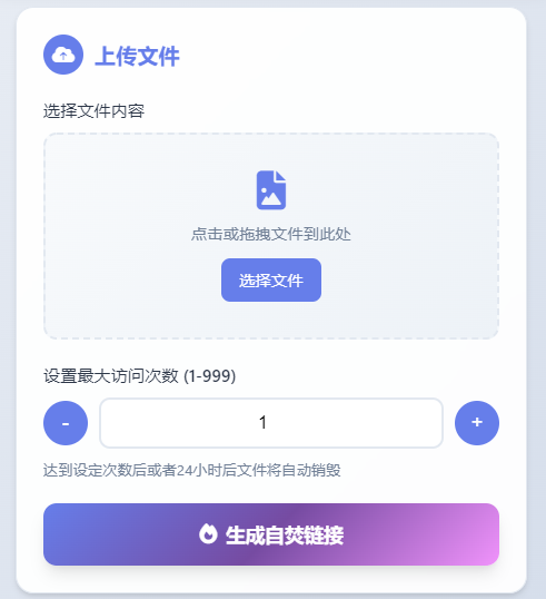 阅后自焚文件分享 上传文件并设置访问次数，达到次数后或者24小时后自动销毁(图2)